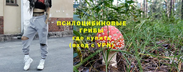 apvp Рославль